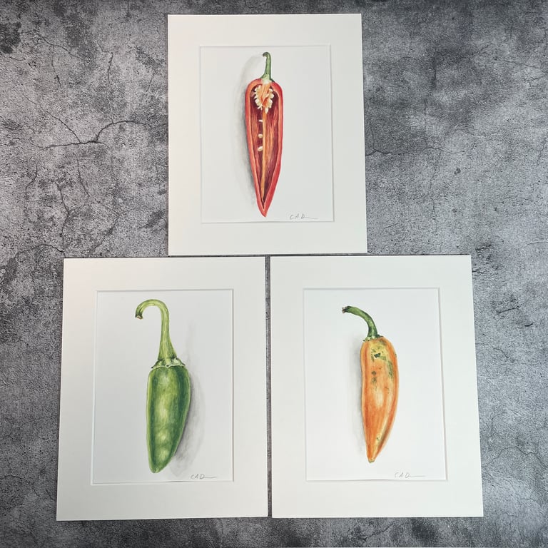 "Three Chilies" Watercolour Painting Collection