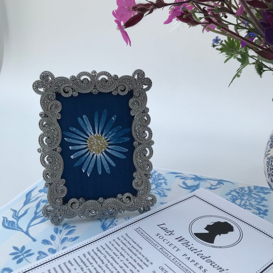 Miniature Framed Daisy, Botanical Art. April Birthday