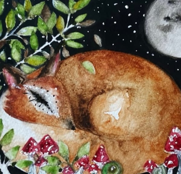 Original Resting Fox with Mushrooms in Moonlight Watercolour 
