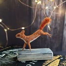 Tiny Squirrel