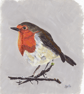 Painted Robin (10"x12") Limited Edition Print - 1 of 20