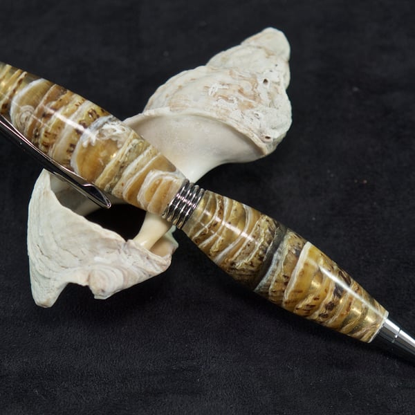Unique real limpet seashell pen made on Orkney. S9