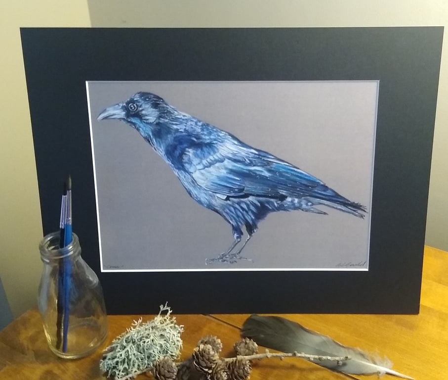 A3 or A4 Crow art print of an original drawing