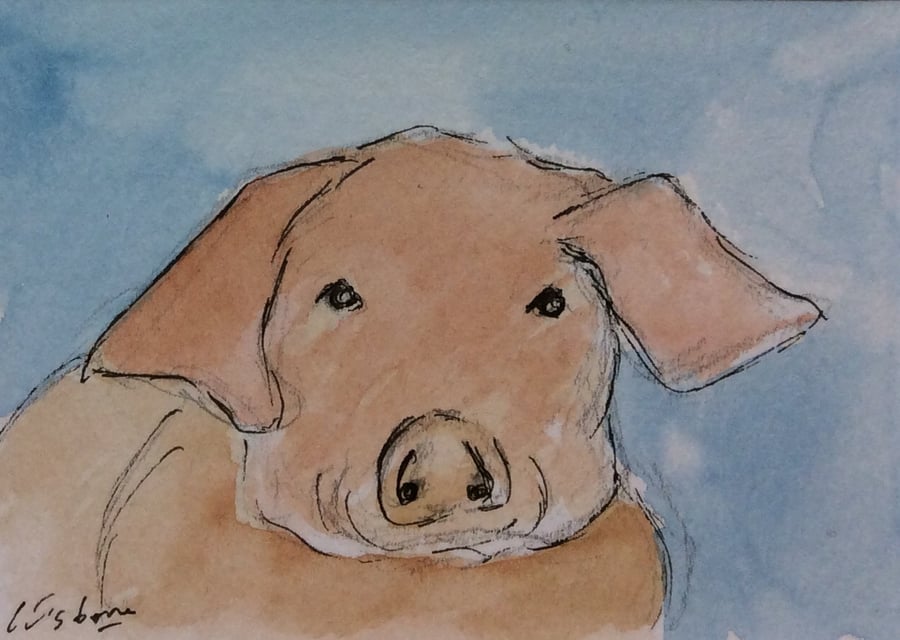 Pig - original watercolour, pen and ink - ACEO