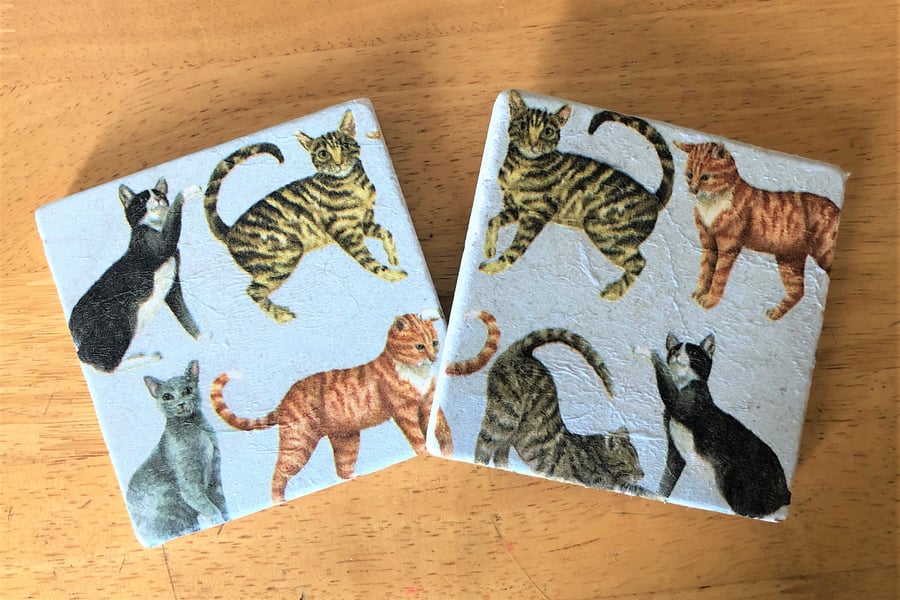 Emma Bridgewater Styled Cats Natural Stone Coaster