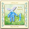 Barney Brushwood - A Baby Cotton Tail