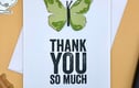 Thank You Cards