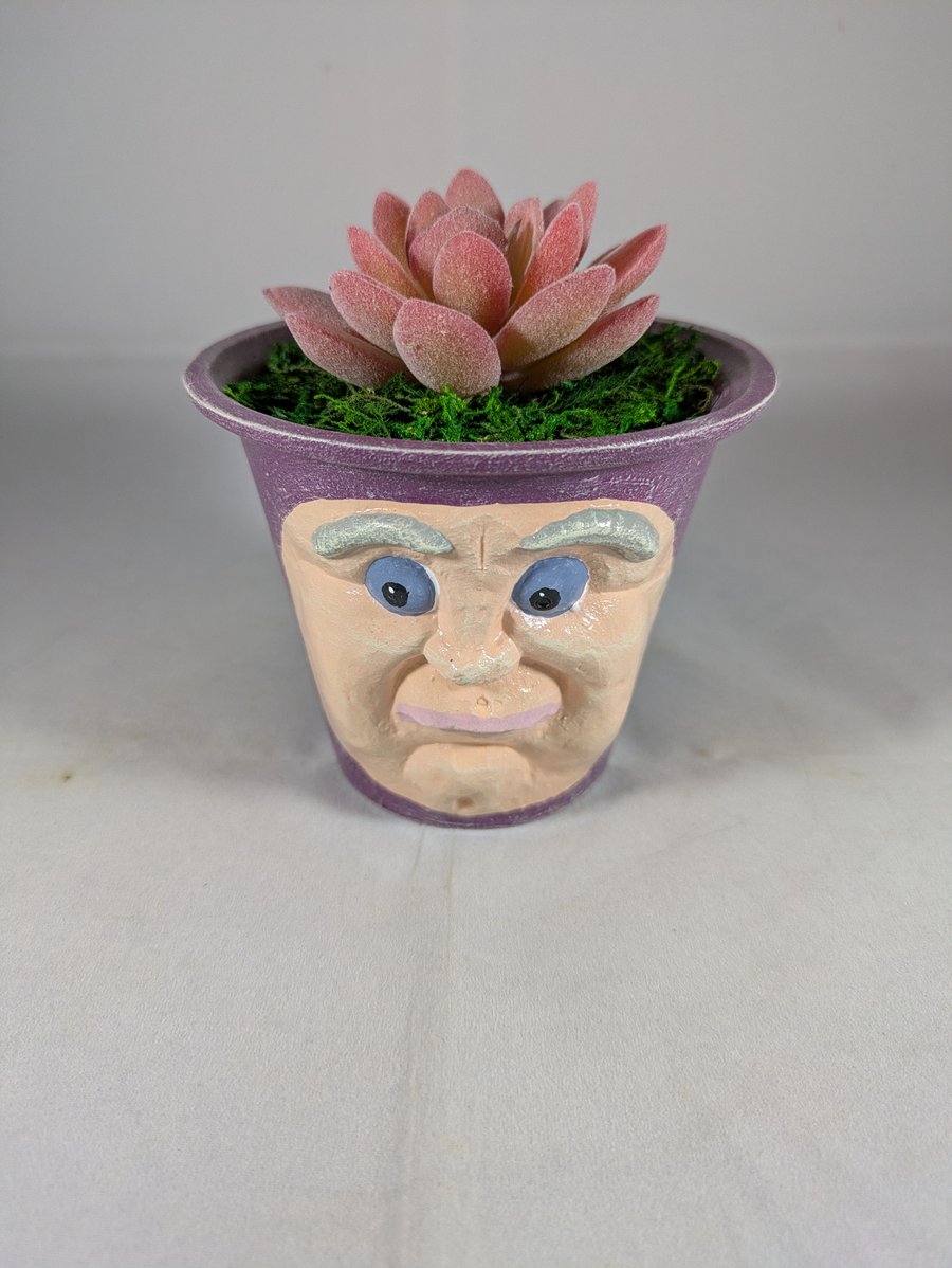 Plum Purple Ceramic Flower Pot Artificial Succulent Plant Ornament Decoration.