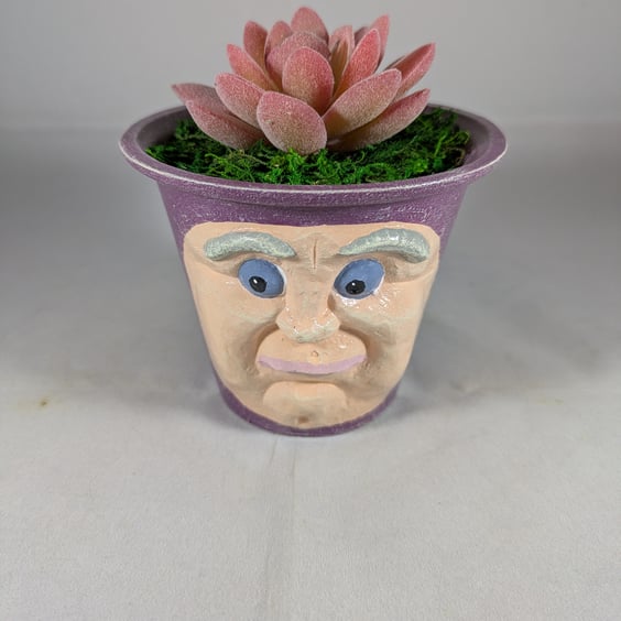 Plum Purple Ceramic Flower Pot Artificial Succulent Plant Ornament Decoration.