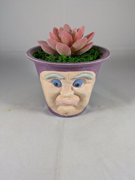Plum Purple Ceramic Flower Pot Artificial Succulent Plant Ornament Decoration.