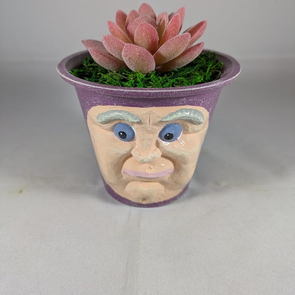 Plum Purple Ceramic Flower Pot Artificial Succulent Plant Ornament Decoration.