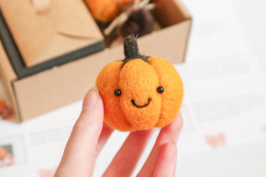 DIY Kit Woolly Pumpkin Pal Needle Felting - Beginners Craft Kit High Quality