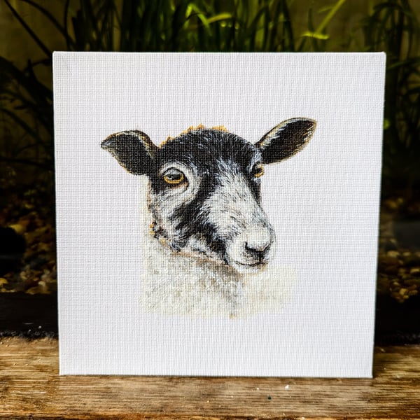 Mule Ewe Lamb Acrylic Portrait Painting 