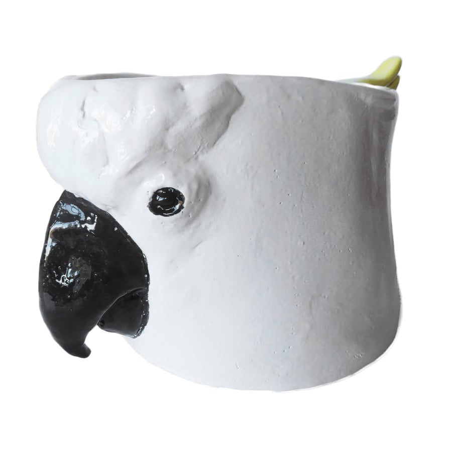 Cockatoo Ceramic Pot - Handmade