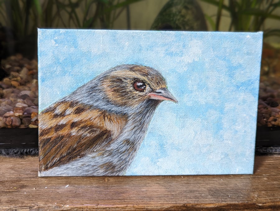 Dunnock Bird Painting