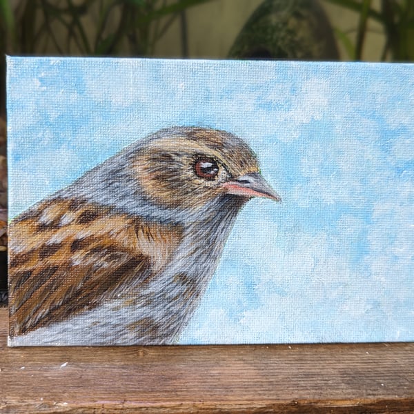 Dunnock Bird Painting