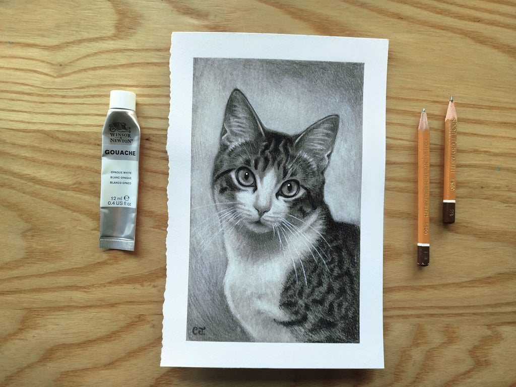 Custom Graphite Pet Portrait