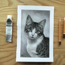 Custom Graphite Pet Portrait
