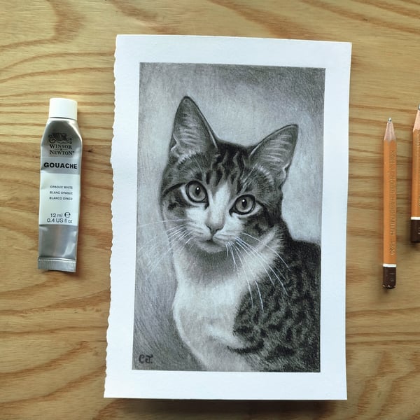 Custom Graphite Pet Portrait