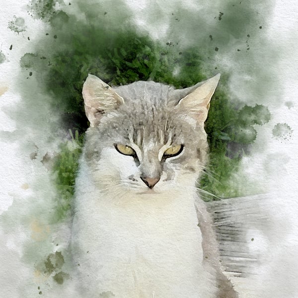 Watercolour Style Pet Portrait From Photo, Cat Portrait, Custom Pet Print