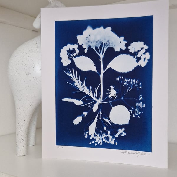 Cyanotype Botanical Print No. 7
