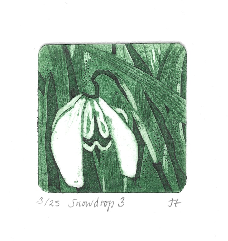 Snowdrop 3