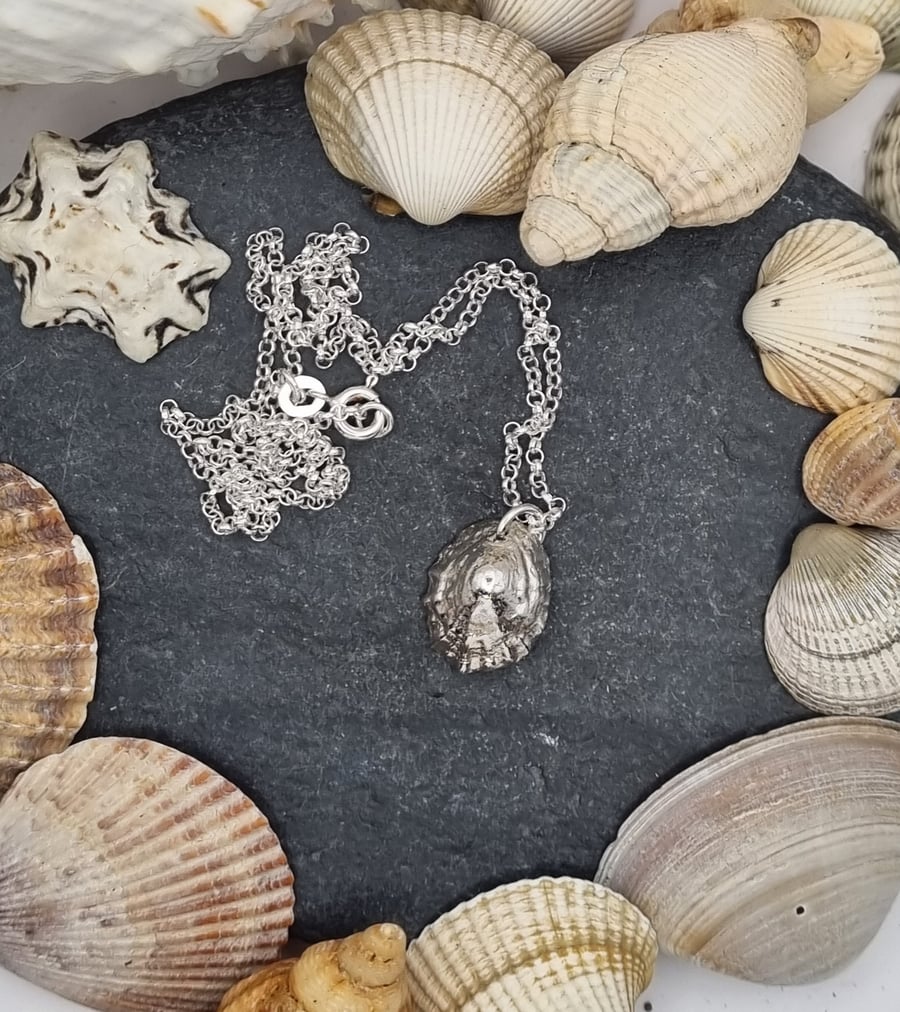 Real limpet shell preserved in silver pendant necklace