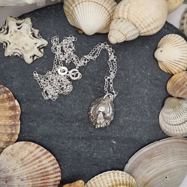 Real limpet shell preserved in silver pendant necklace