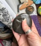 Seagull Herring Gull  Hand painted and varnished paper weight stone  - Image 9