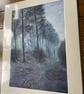 ORIGINAL - Cannock Chase - Image 2