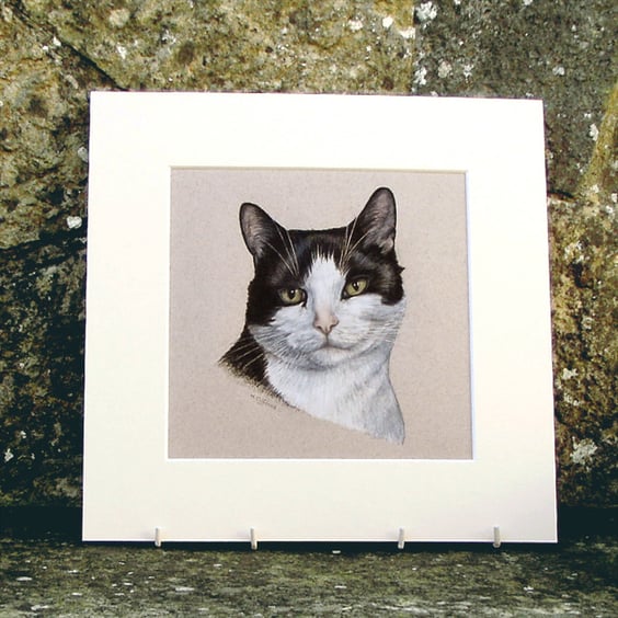 Black and White Cat Original Coloured Pencil Drawing