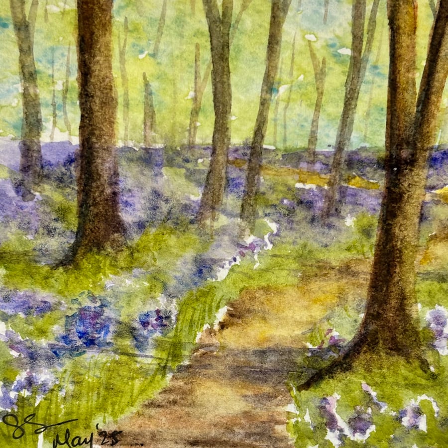 Bluebell woods