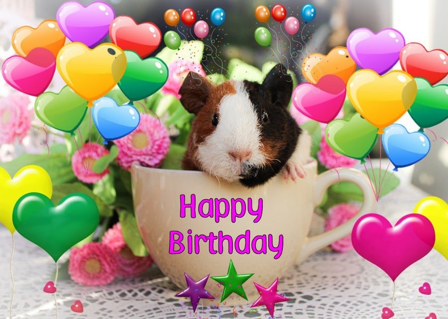A5 Guinea Pig in Tea Cup Birthday Card 