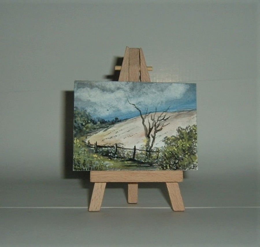 aceo watercolour miniature art painting (ref f 296)