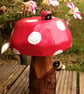 Toadstool with bee & ladybird