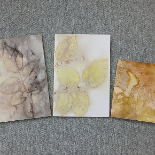 Set of 3 Eco Printed Pamphlet Stitched Notebooks
