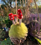 Toadstools, ladybird and mice fir cone - Image 4