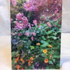 Rambling flowers - photography greeting card