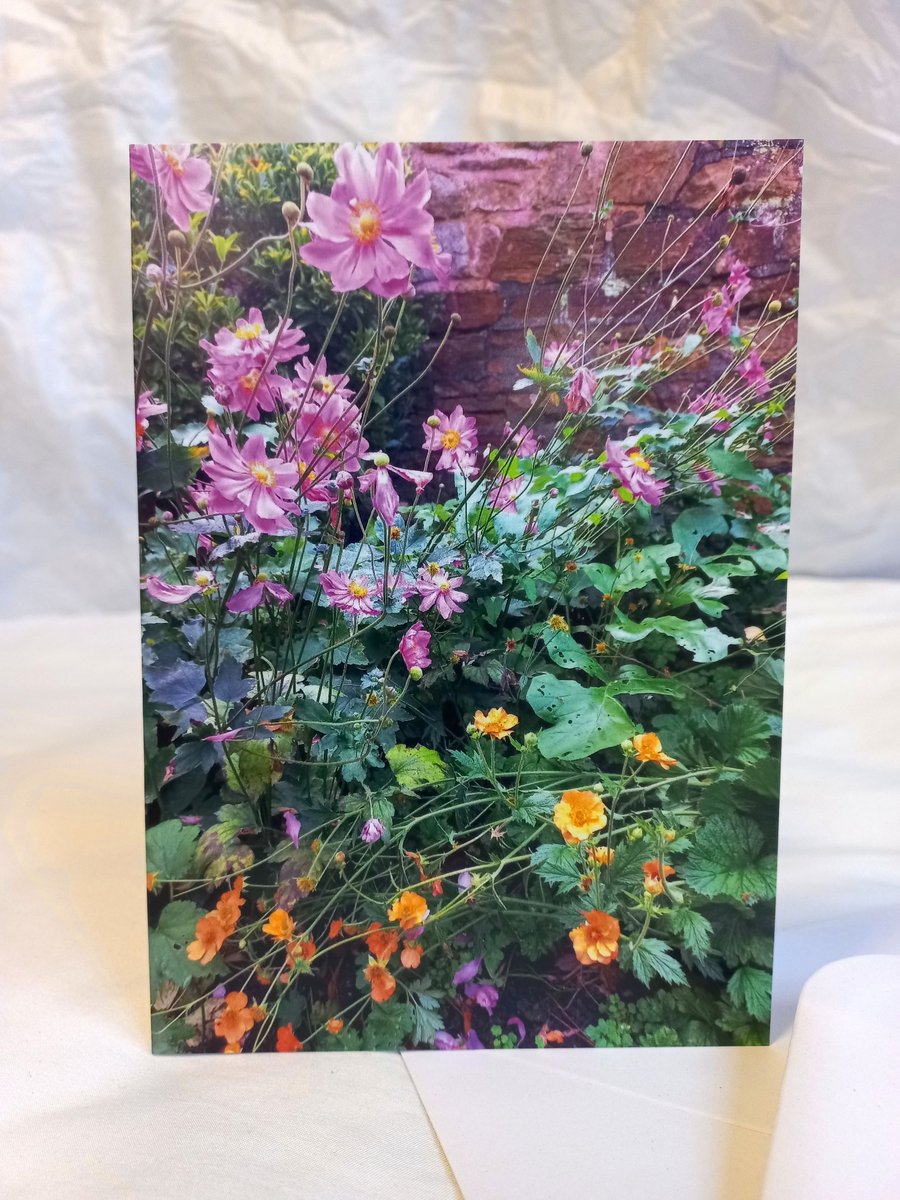 Rambling flowers - photography greeting card