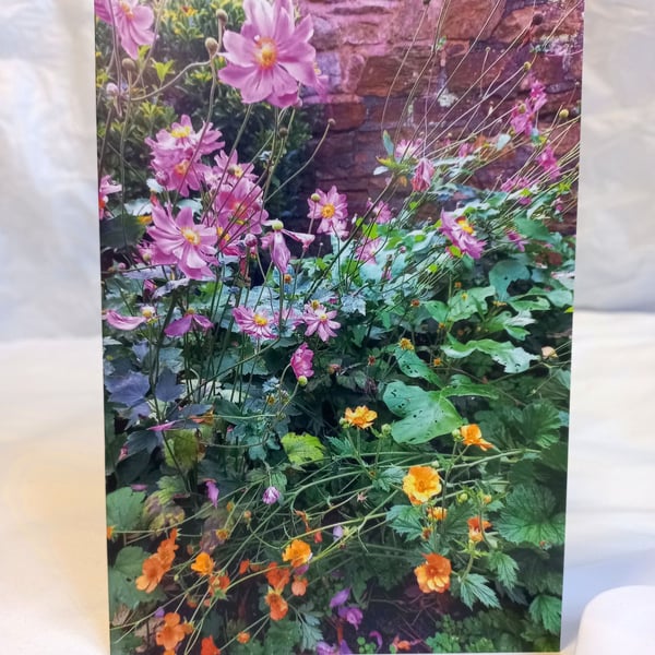 Rambling flowers - photography greeting card