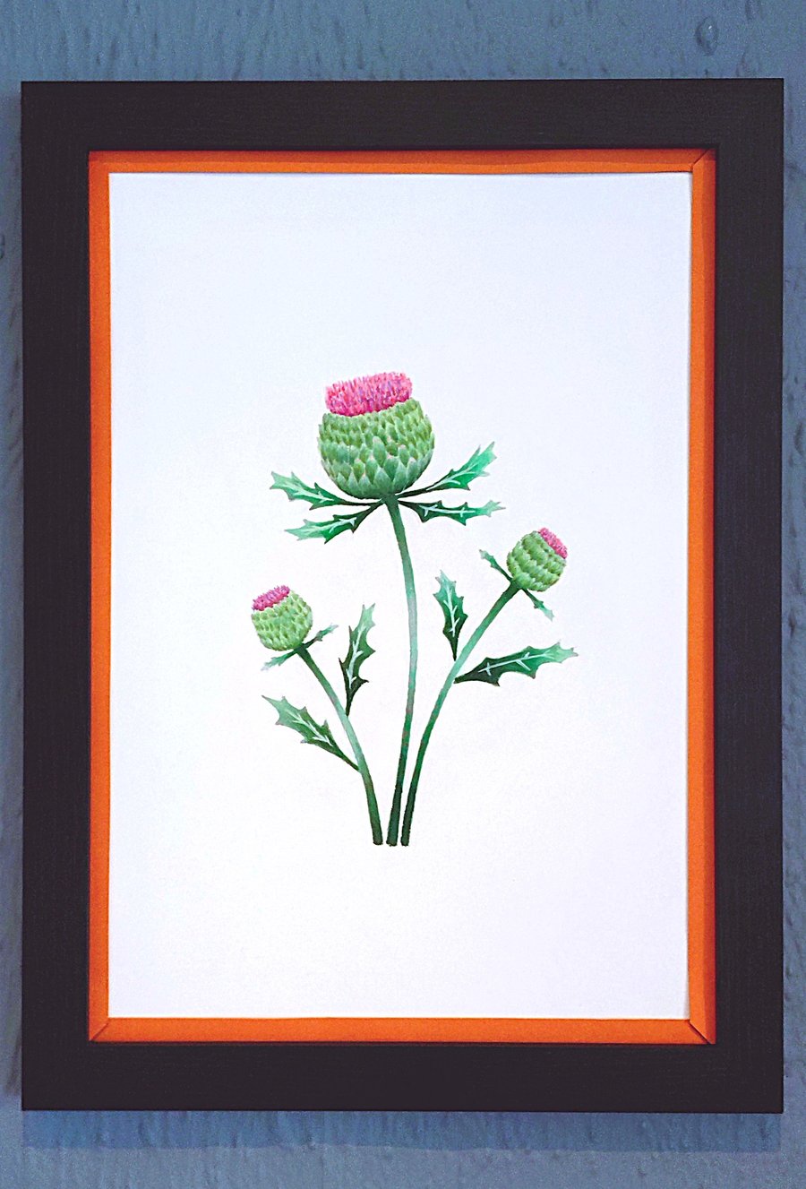 Genuine Made in UK Framed A3 Print Scottish Thistles Stylish Orange Border