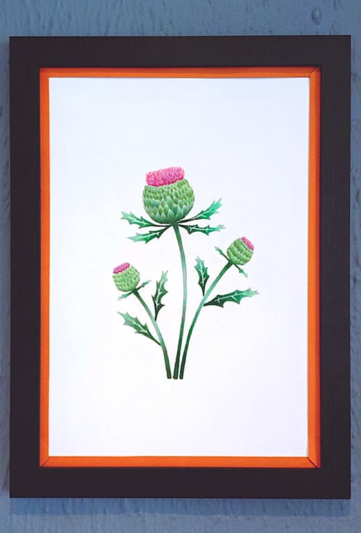 Genuine Made in UK Framed A3 Print Scottish Thistles Stylish Orange Border