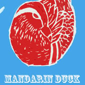Mandarin Duck Craft
