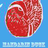 Mandarin Duck Craft
