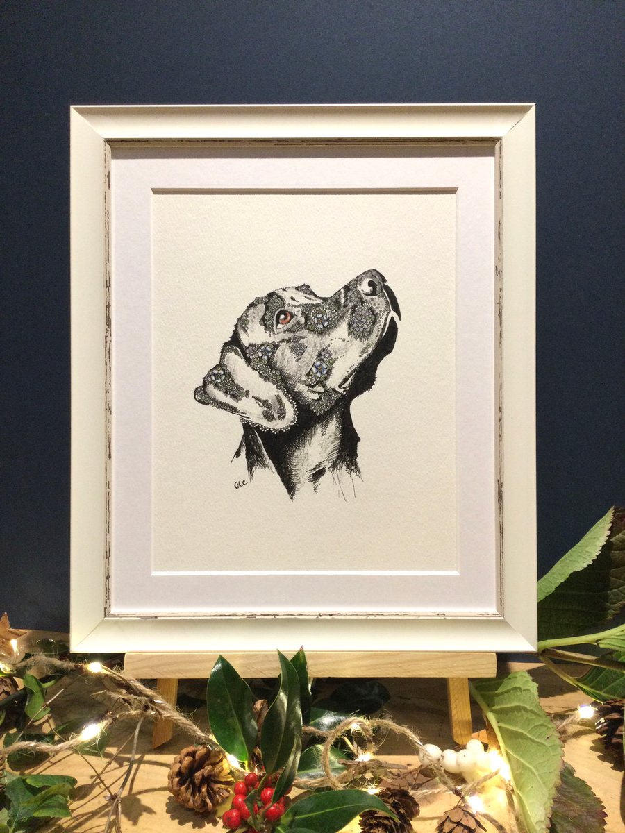 Framed Black Labrador Art Print 