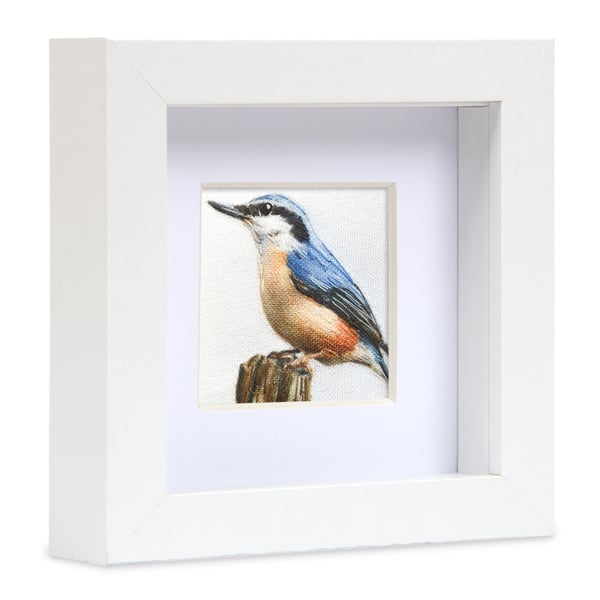 Nuthatch, little 3D fabric nuthatch picture framed, nuthatch gift