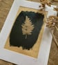 Tea Toned Leaf Cyanotype Mount - Image 2
