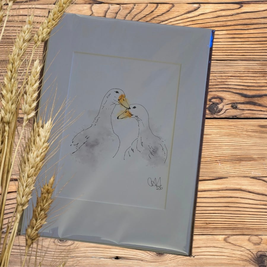Farm animal Wall Art  Ink & Watercolour Animal Illustrations, ducks