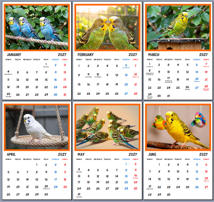 2027 Calendar Budgie Birds A4 Size Wall Hanging 