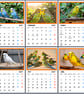 2027 Calendar Budgie Birds A4 Size Wall Hanging 